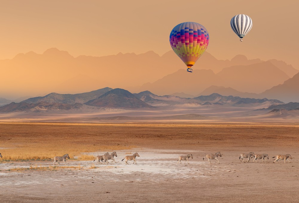 Ganztages-Safari im südlichen Etosha